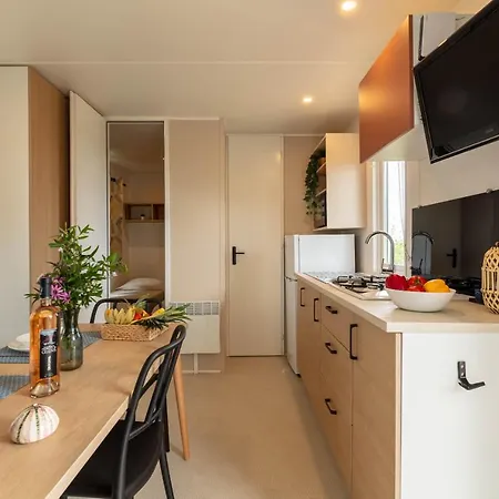Сasa de vacaciones Le Cycas, Mobil-home Neuf Avec Sa Vue Dégagée Sur Les Vignes Et La Hyères