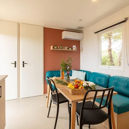 Le Cycas, Mobil-home Neuf Avec Sa Vue Dégagée Sur Les Vignes Et La * Hyères
